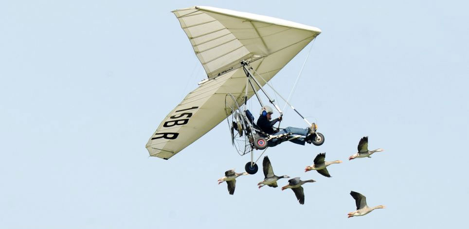 法男子驾超轻飞机与大雁群共同飞行15年场面壮观