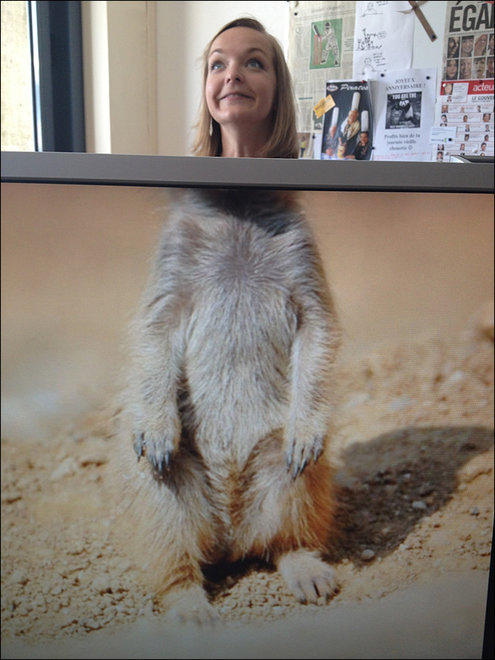 这些照片中,动物的姿势与人的表情配合地天衣无缝,令人看后忍俊不禁.