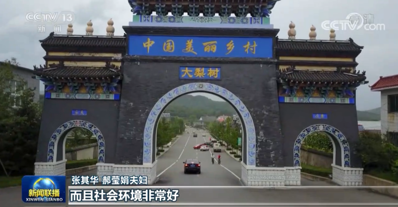 走向我们的小康生活大梨树村科技加实干助力乡村振兴