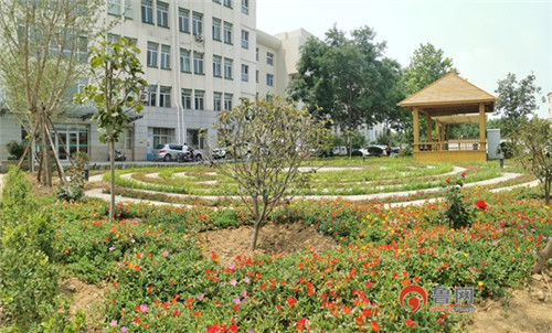 青岛平度:第三人民医院绿化提升全面铺开 中土物业护绿添彩