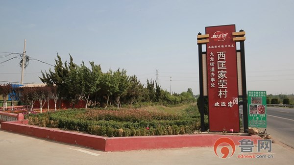 逆势而上 胶州九龙街道实现高质量发展