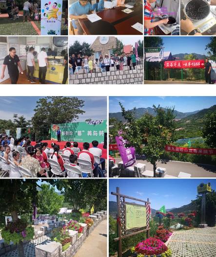 2020第十届青岛崂山蓝莓采摘节于6月5日正式开启致敬逆行者免费送门票