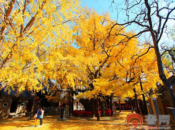 莒县浮来山风景区金秋惹人醉