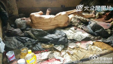 平度八旬老人挨饿续村支书被免镇干部停职