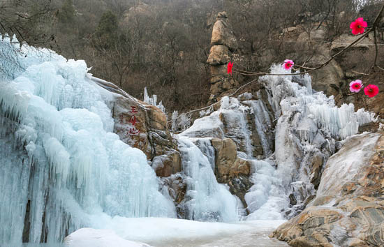 美哭了来齐国故都遇见踏雪寻梅的浪漫