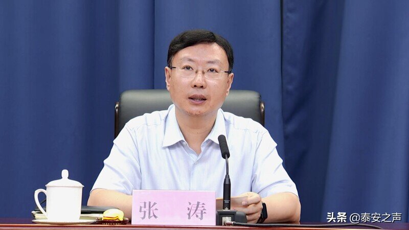 张涛调度全市优化营商环境工作