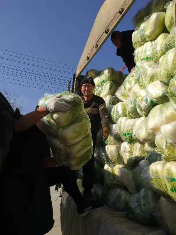 10吨山东大白菜300只博山肴鸡奔赴西安