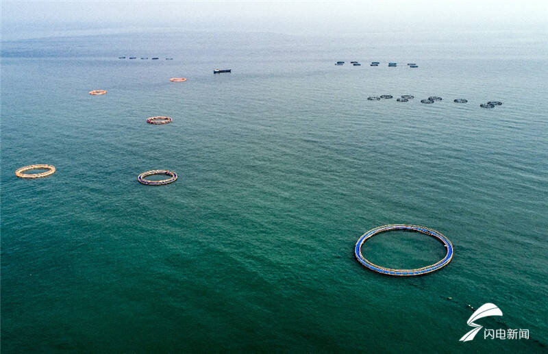 星辰大海网箱养殖休闲海钓旅游研学探访青岛最大规模海洋牧场