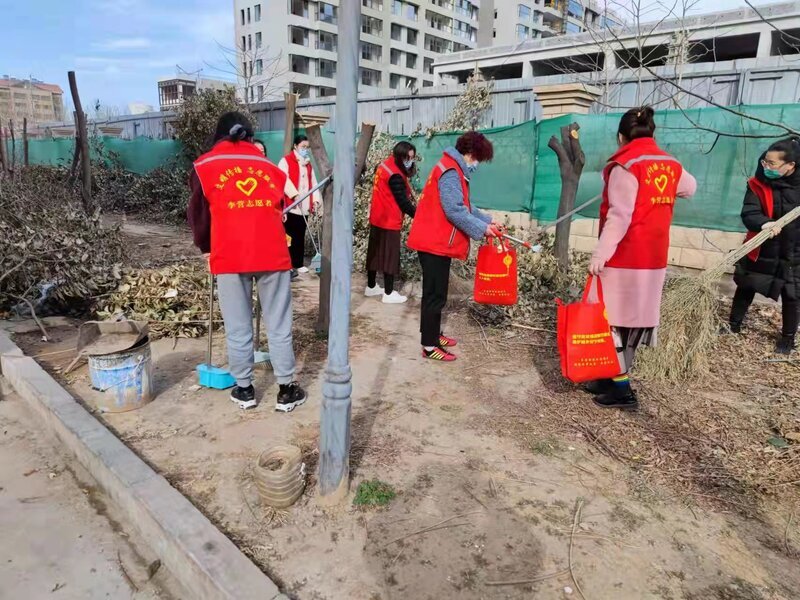 枫阳社区开展弘扬雷锋精神共建美好家园学雷锋志愿服务活动