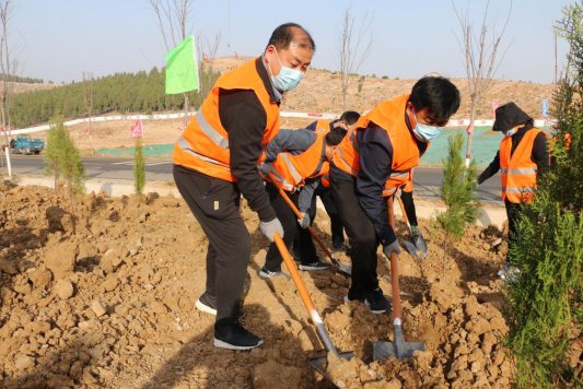 植樹添綠與尼同行曲阜市尼山鎮機關幹部植樹造林義務勞動做奉獻