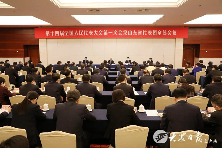 山东代表团举行全体会议总结代表团工作