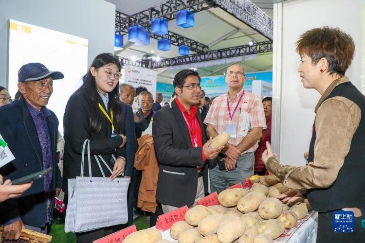 山东滕州举行薯业博览会