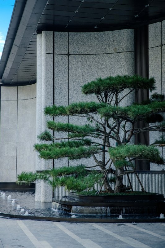 建筑的摆设布局

AI 生成的内容可能不正确。